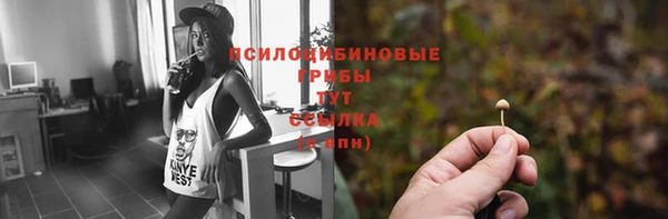 спиды Касимов