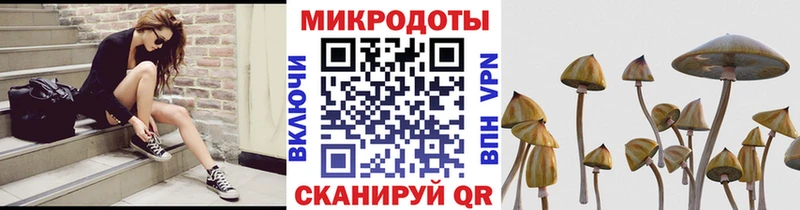 Купить где  Кропоткин  Псилоцибиновые грибы Magic Shrooms 